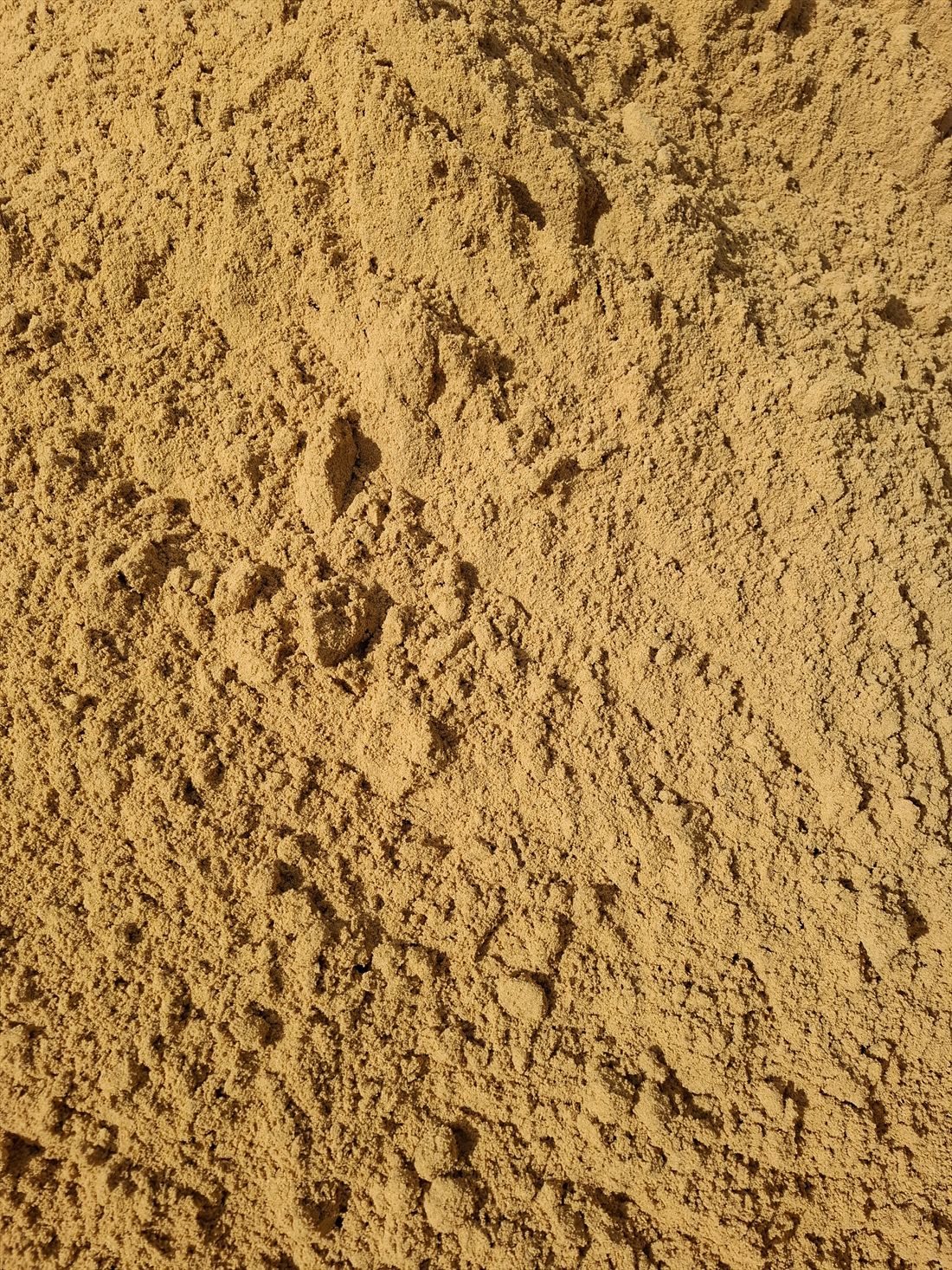 Brickies Sand close up, supplied and delivered across Perth by Red Sand Supplies