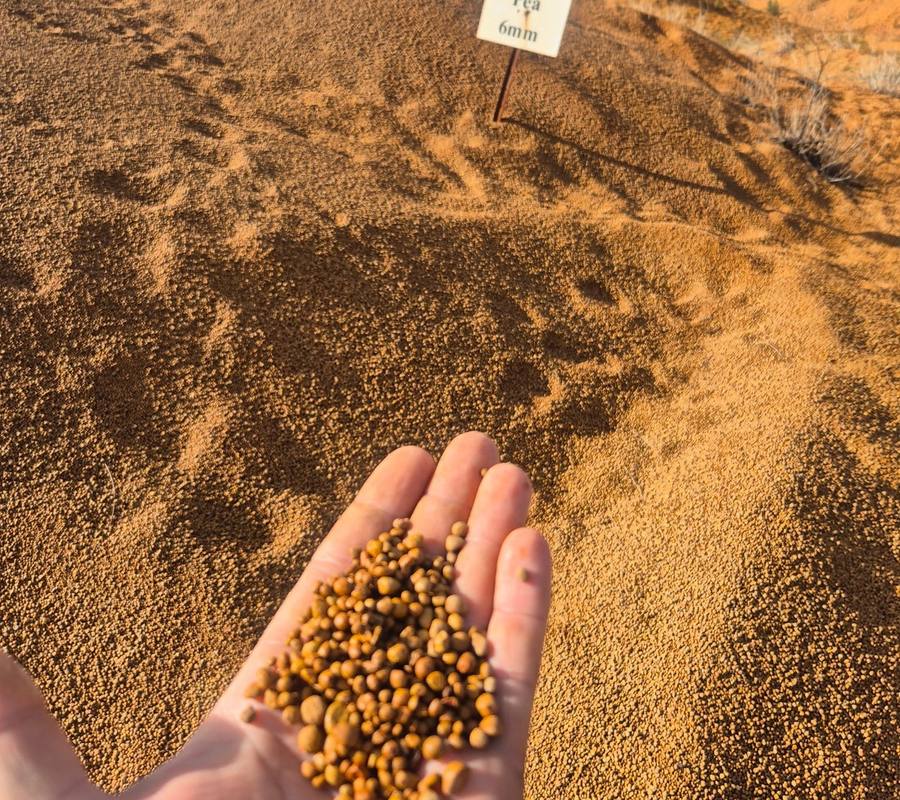 Pea Gravel (6mm) close up, supplied and delivered across Perth by Red Sand Supplies