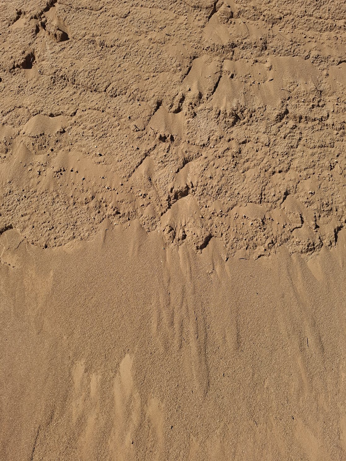 Spearwood Red (-5mm) close up, supplied and delivered across Perth by Red Sand Supplies